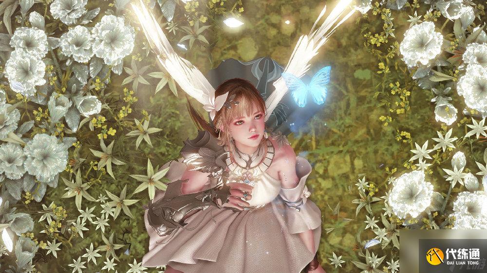 命运方舟妮娜芙位置