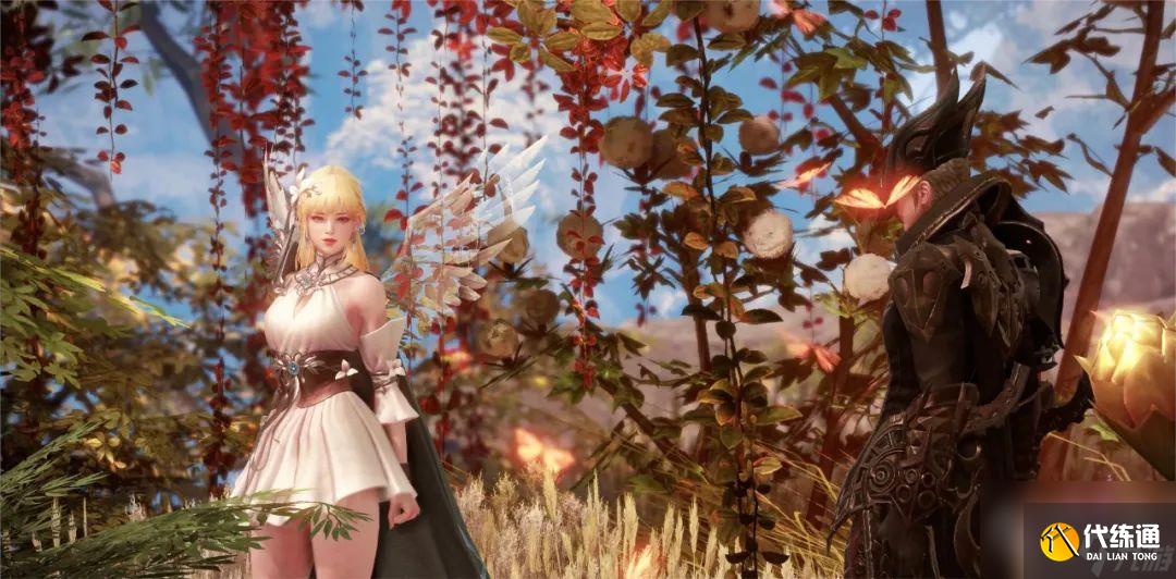 命运方舟妮娜芙位置