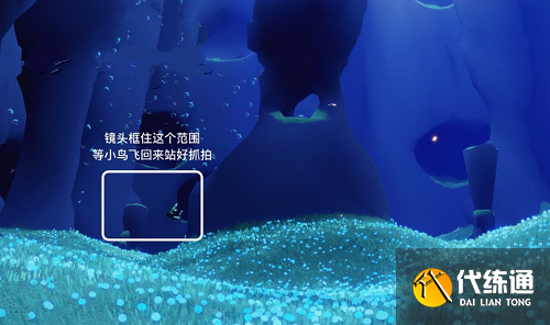 光遇拾光季第二个任务攻略