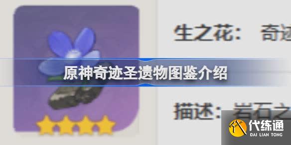 原神奇迹怎么样