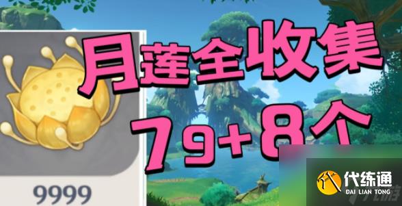 原神月蓮在哪里采集-原神月蓮采摘地點一覽