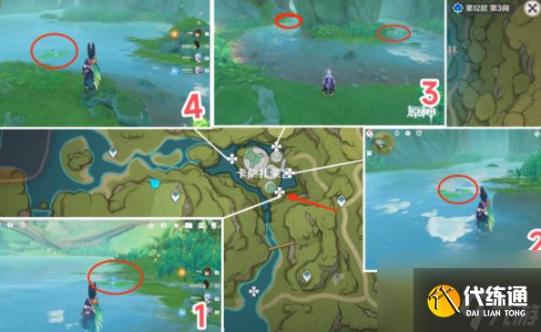 原神月蓮在哪里采集-原神月蓮采摘地點一覽