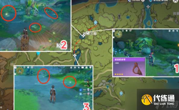 原神月蓮在哪里采集-原神月蓮采摘地點一覽