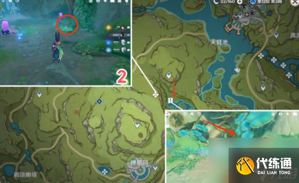 原神月蓮在哪里采集-原神月蓮采摘地點一覽