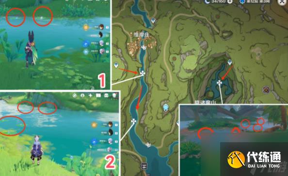 原神月蓮在哪里采集-原神月蓮采摘地點一覽