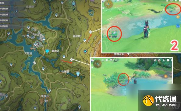 原神月蓮在哪里采集-原神月蓮采摘地點一覽