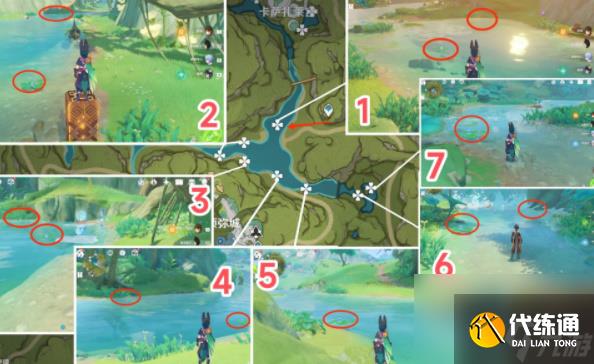 原神月蓮在哪里采集-原神月蓮采摘地點一覽