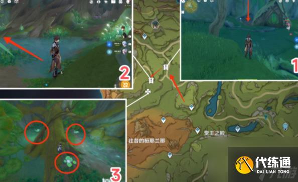 原神月蓮在哪里采集-原神月蓮采摘地點一覽