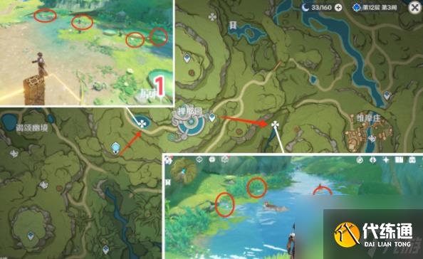 原神月蓮在哪里采集-原神月蓮采摘地點一覽