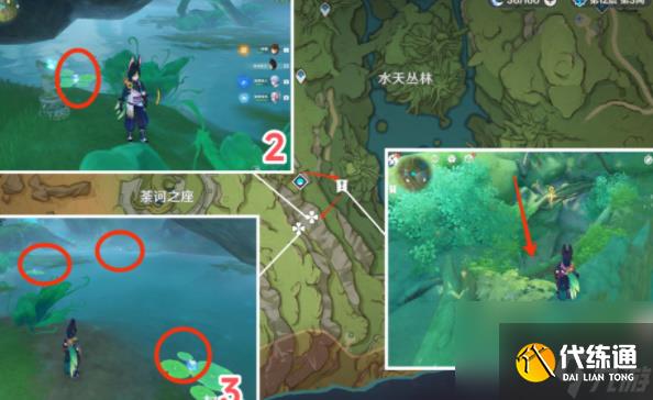 原神月蓮在哪里采集-原神月蓮采摘地點一覽