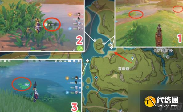 原神月蓮在哪里采集-原神月蓮采摘地點一覽