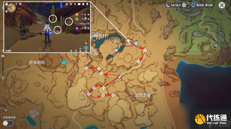 「原神3.8」赤念果：收集與突破的必備珍材