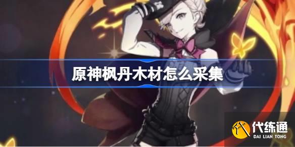 原神楓丹木材怎么采集