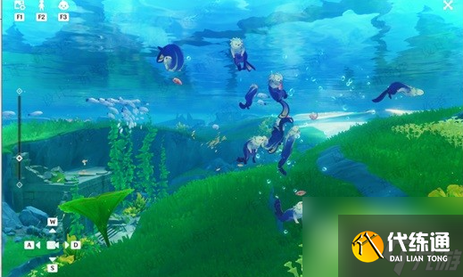 《原神》海獺寶箱位置一覽