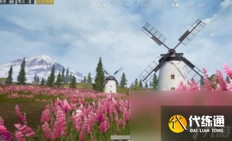 《和平精英》山谷地图鲁冰花海地图位置介绍