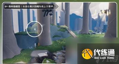 光遇9.8夏之日代币位置在哪