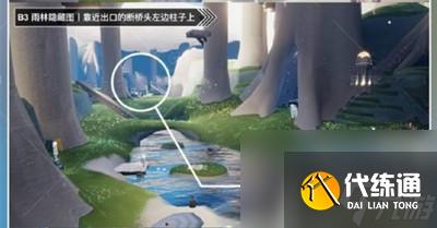 光遇9.8夏之日代币位置在哪