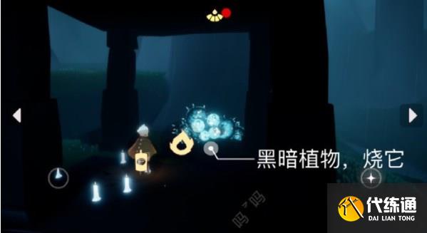 光遇9.11任务怎么做 2023年9月11日每日任务完成攻略[多图]图片3