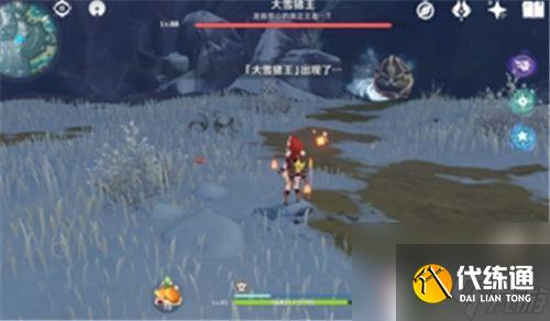 原神雪山野豬的分布 原神野豬王沒取暖點攻略