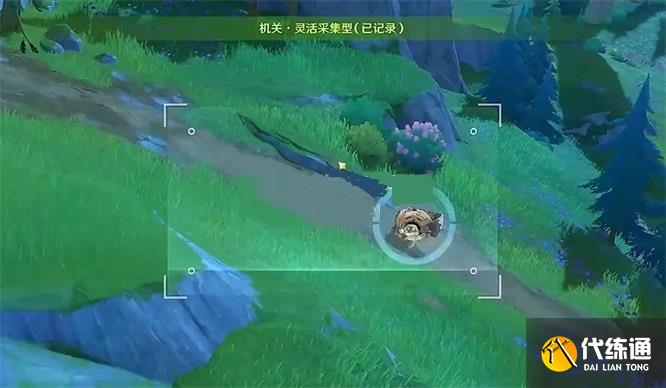 原神光影研學發條機關攻略 四個發條機關留影位置分享[多圖]圖片3