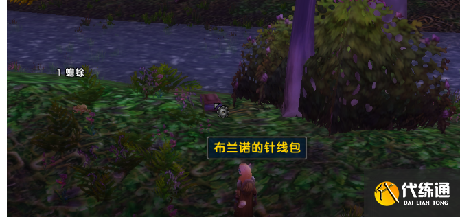 魔兽世界乌龟服布兰诺尔的针线包怎么做 布兰诺尔的针线包任务攻略[多图]图片2