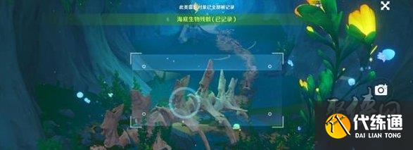 原神水下沉落物在哪 光影研学旖旎水界第五天攻略