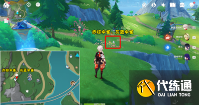 原神楓丹特有飛禽在哪 光影研學楓丹特有飛禽位置分享[多圖]圖片3