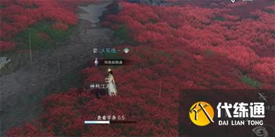 逆水寒手游童心尋趣任務怎么做 童心尋趣奇遇任務攻略[多圖]圖片7