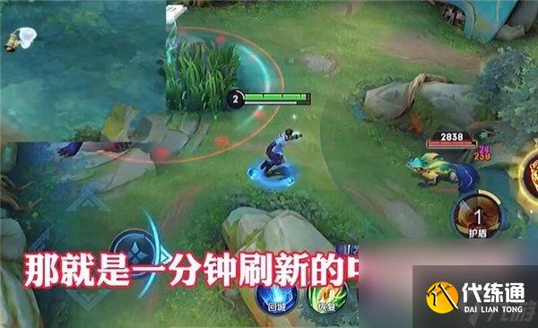 《王者榮耀》中路河蟹刷新時間介紹