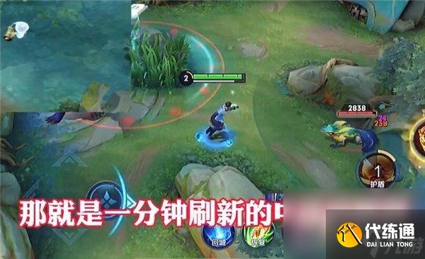 《王者榮耀》中路河蟹刷新時(shí)間介紹