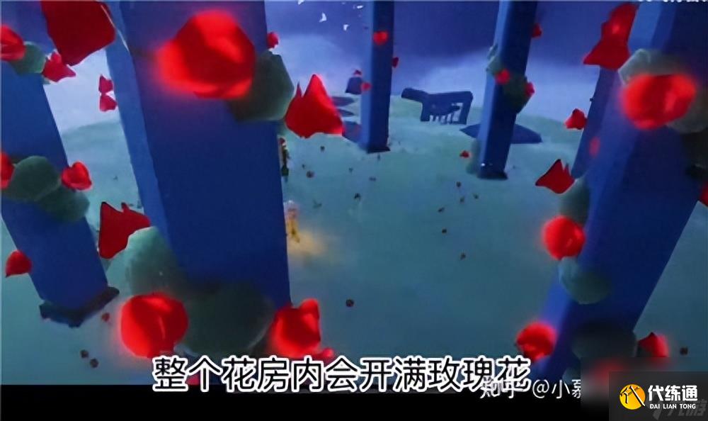 光遇小王子任务攻略全部-光遇小王子季七个任务完成方法汇总