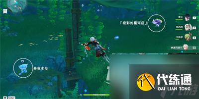 原神極彩的露珂菈打法攻略分享