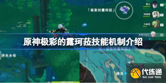 原神極彩的露珂菈技能機制是什么圖一