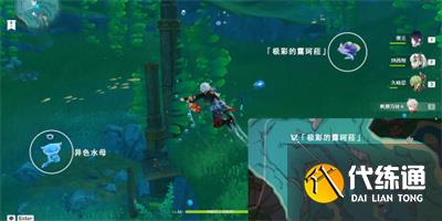 原神極彩的露珂菈技能機制是什么圖二