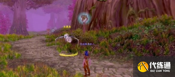 《魔兽世界》乌龟服猫头鹰抓取地点