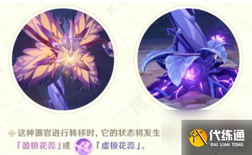原神掣電樹盈極花蕊怎么打？原神內容分享