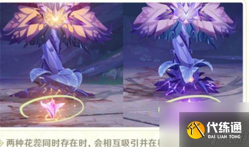 原神掣電樹盈極花蕊怎么打？原神內容分享