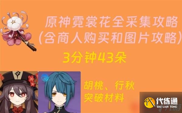 《原神》4.1版本霓裳花采集路線分享
