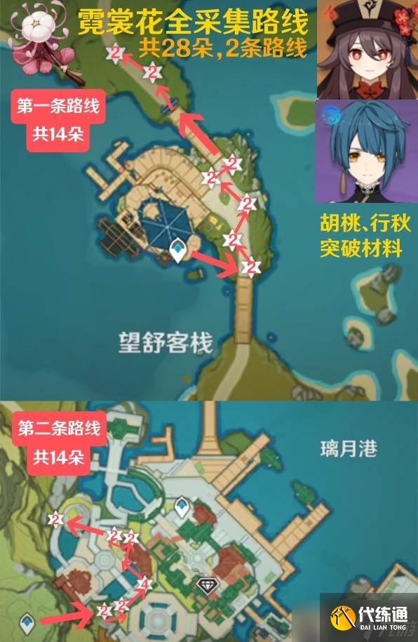《原神》4.1版本霓裳花采集路線分享