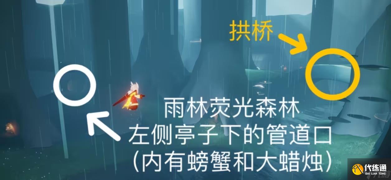 光遇11.5任务2023 11.5光遇每日任务季节蜡烛位置攻略