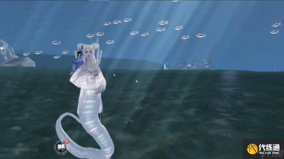 妄想山海：万年宠物白娘子，是否要培养一个？