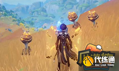 原神老石位置分享