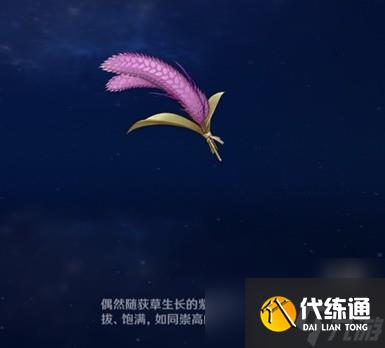 《原神》圖形對抗實驗錄第五天拍攝紫色物產(chǎn)攻略 紫色物產(chǎn)拍攝位置分享