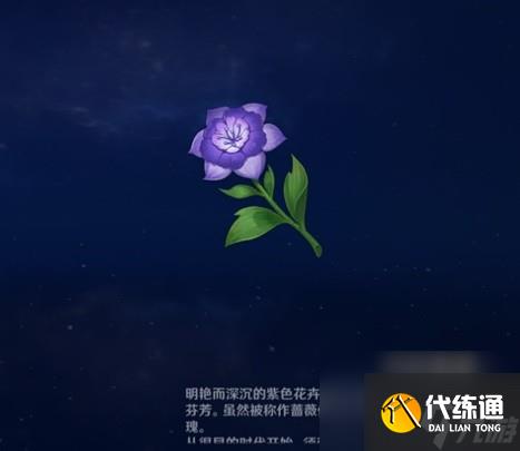 《原神》圖形對抗實驗錄第五天拍攝紫色物產(chǎn)攻略 紫色物產(chǎn)拍攝位置分享