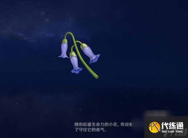 《原神》圖形對抗實驗錄第五天拍攝紫色物產(chǎn)攻略 紫色物產(chǎn)拍攝位置分享