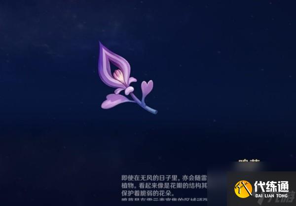 《原神》圖形對抗實驗錄第五天拍攝紫色物產(chǎn)攻略 紫色物產(chǎn)拍攝位置分享