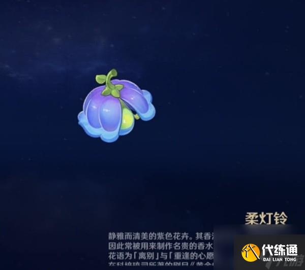 《原神》圖形對抗實驗錄第五天拍攝紫色物產(chǎn)攻略 紫色物產(chǎn)拍攝位置分享