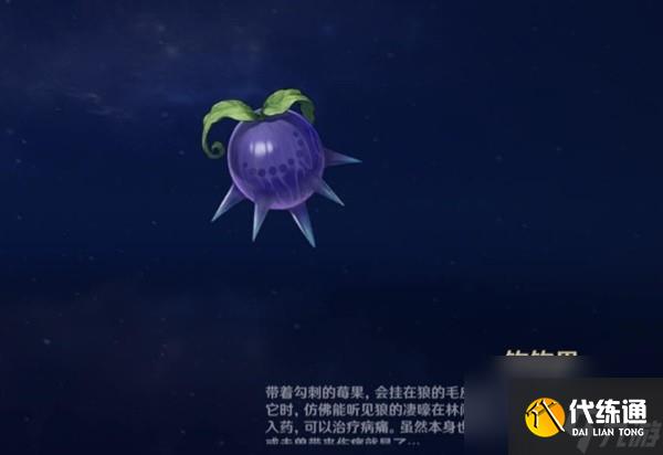 《原神》圖形對抗實驗錄第五天拍攝紫色物產(chǎn)攻略 紫色物產(chǎn)拍攝位置分享