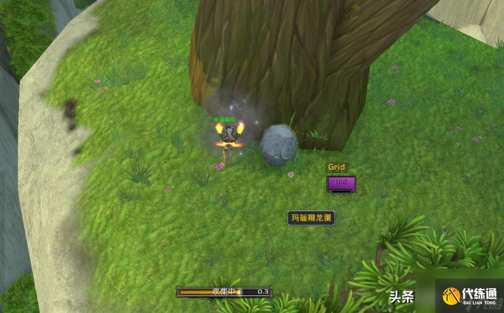 魔兽世界翔龙骑士团声望快速刷法（魔兽怀旧服翔龙骑士团声望速刷教程）「已分享」