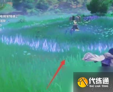 原神雷電將軍特訓(xùn)怎么玩 原神雷電將軍特訓(xùn)攻略